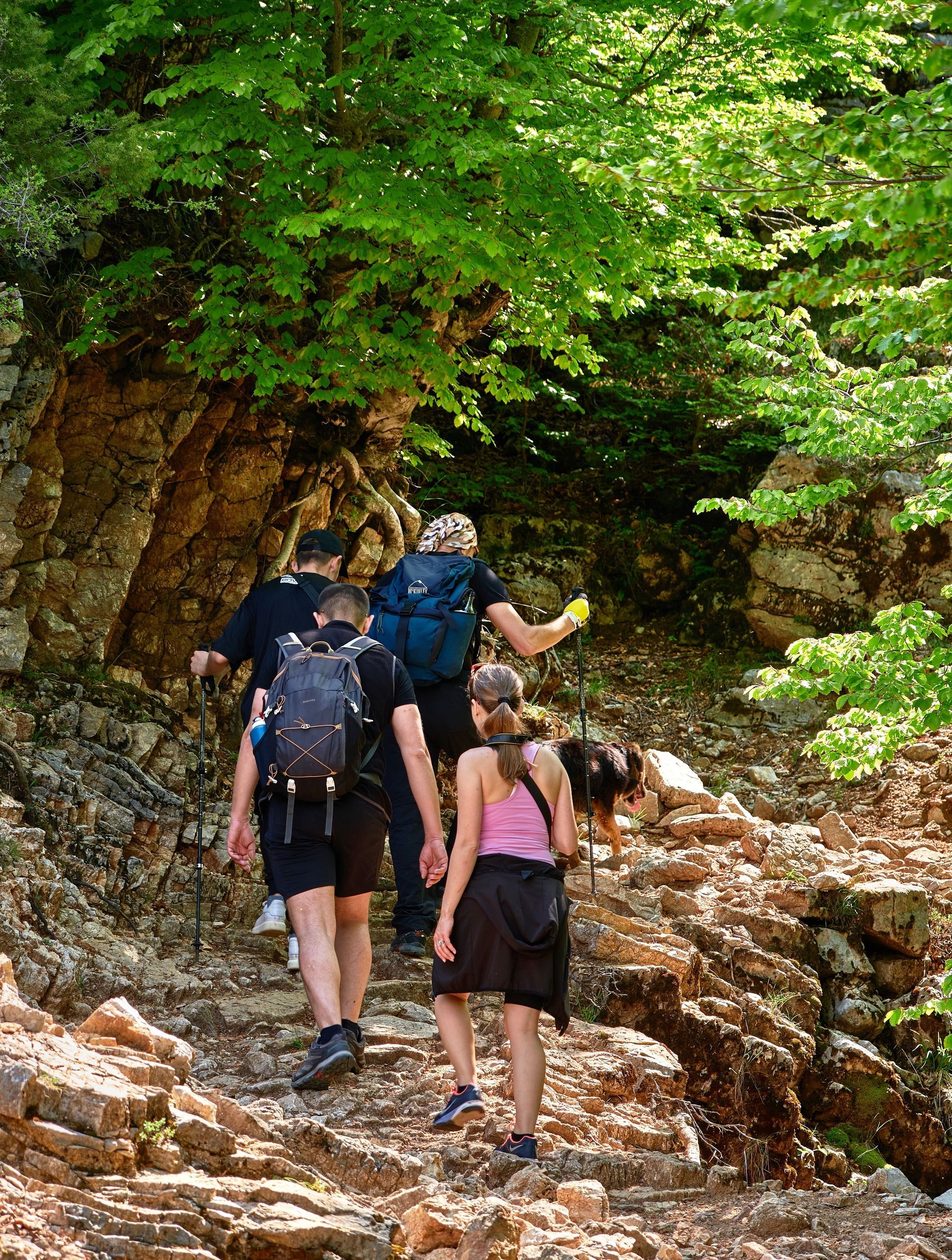 A small group of hikers walking on a wooded trail in Maine.