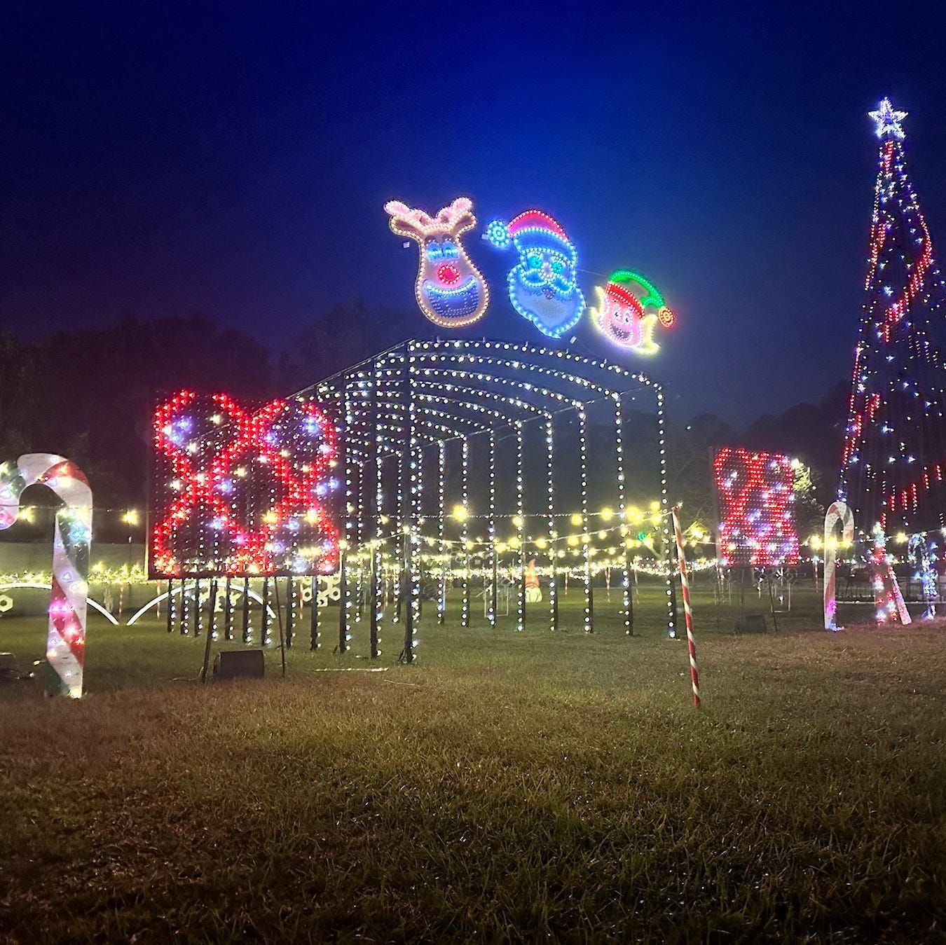 Holiday light display with glowing reindeer and colorful arches at night