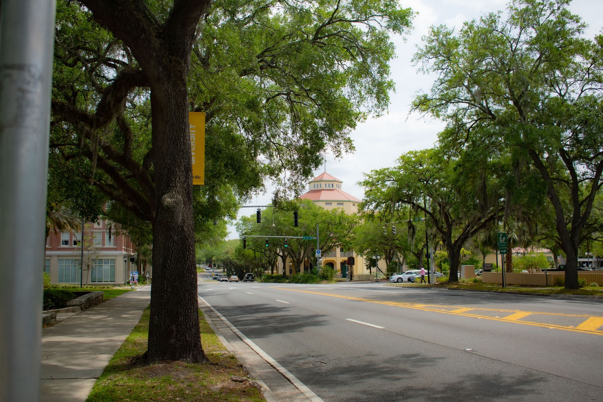 Tree-lined street with a yellow center line and a building in the distance