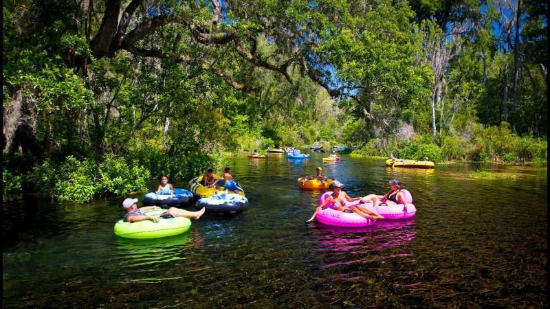 People tubing on a clear river surrounded by lush green trees, with colorful inflatable tubes.
