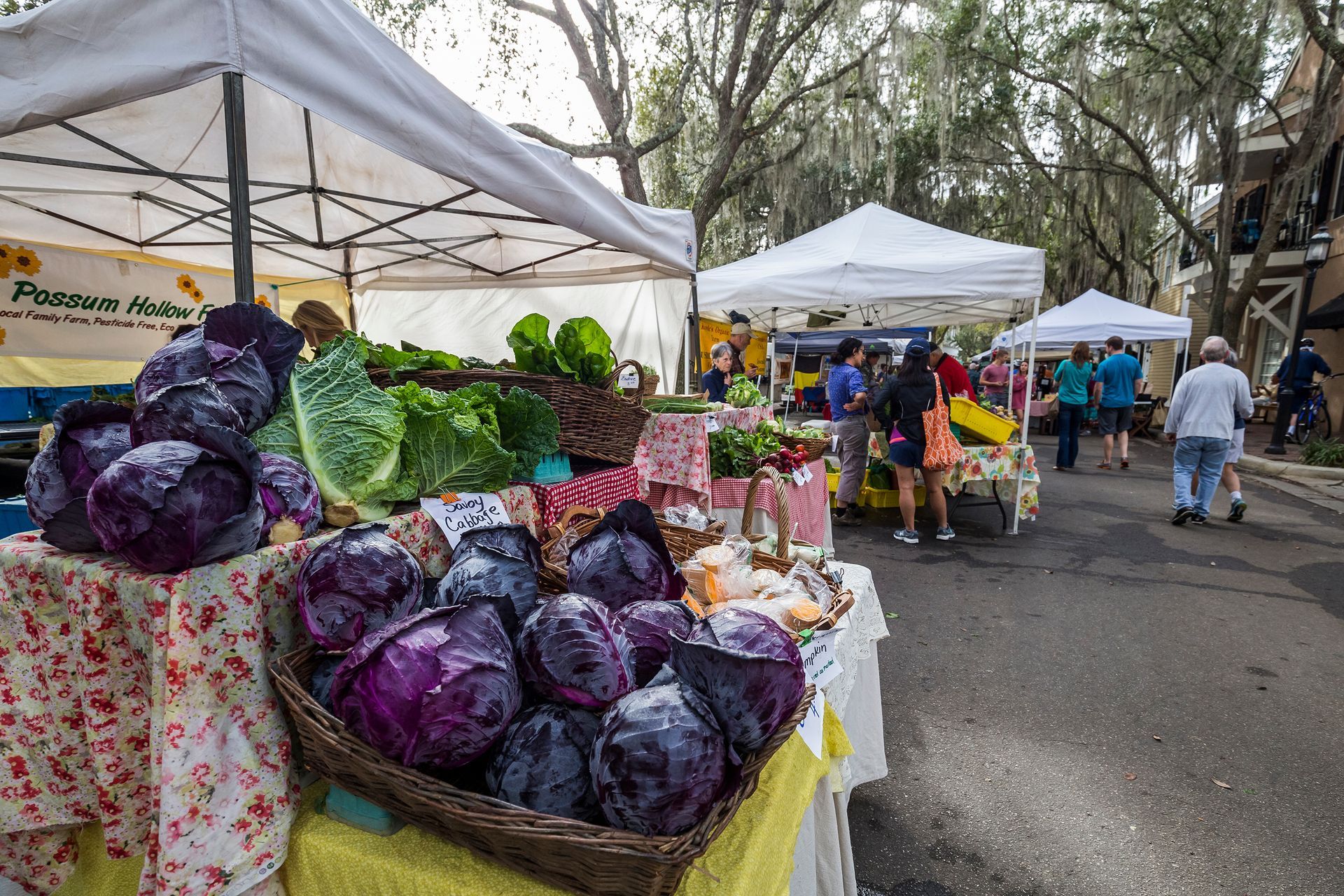 Outdoor farmers market with white tents and tables piled high with purple and green cabbages
