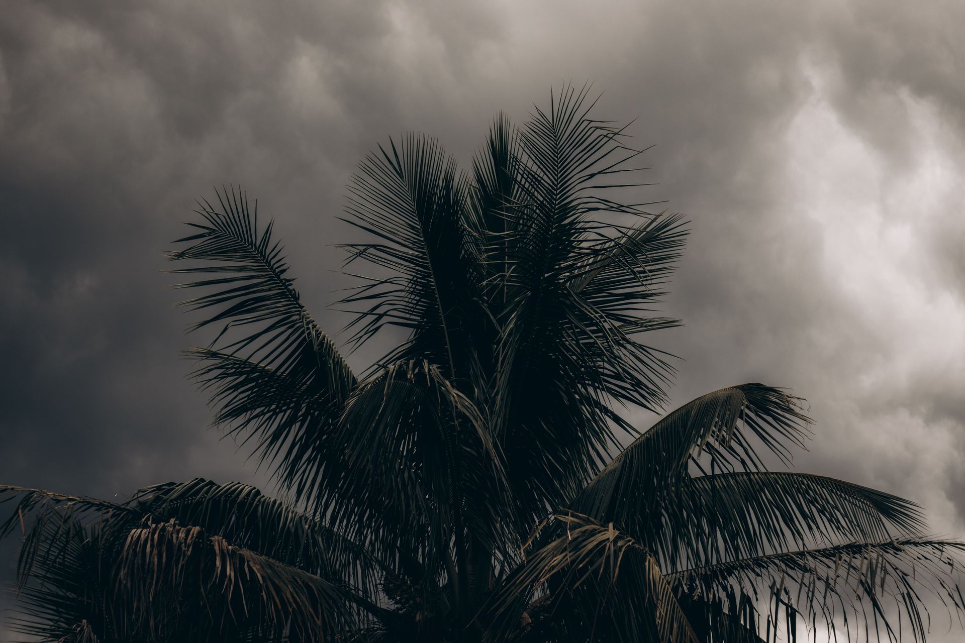 Gainesville college student preparing an apartment emergency kit before tropical weather
