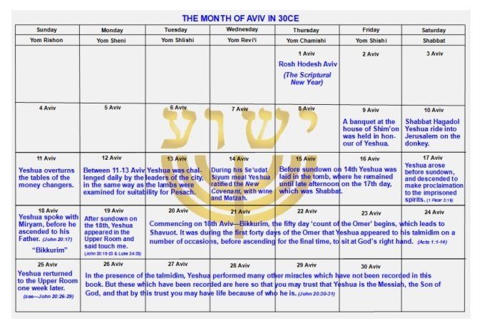 Calendar chart titled “The Month of Av in Niche” with Hebrew letters and annotated dates.