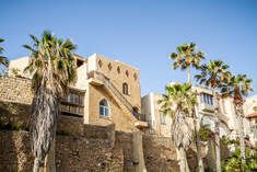 Stone buildings and palm trees under a clear blue sky in a sunlit historic courtyard