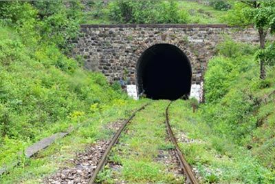 Railroad tracks leading into a dark tunnel surrounded by lush green vegetation.