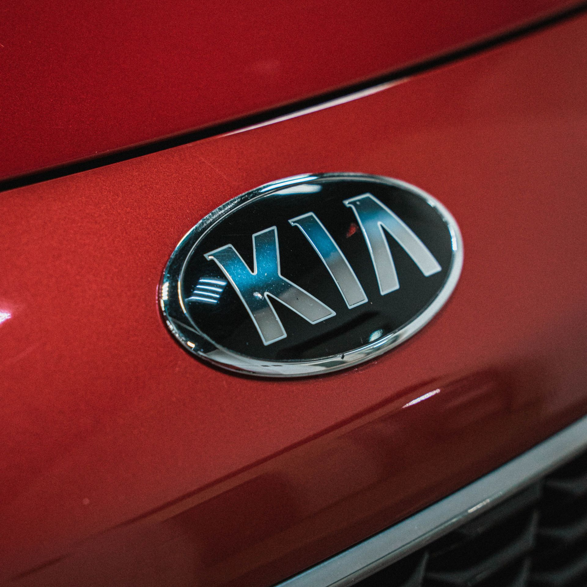 Close-up of a Kia car emblem on a red vehicle hood
