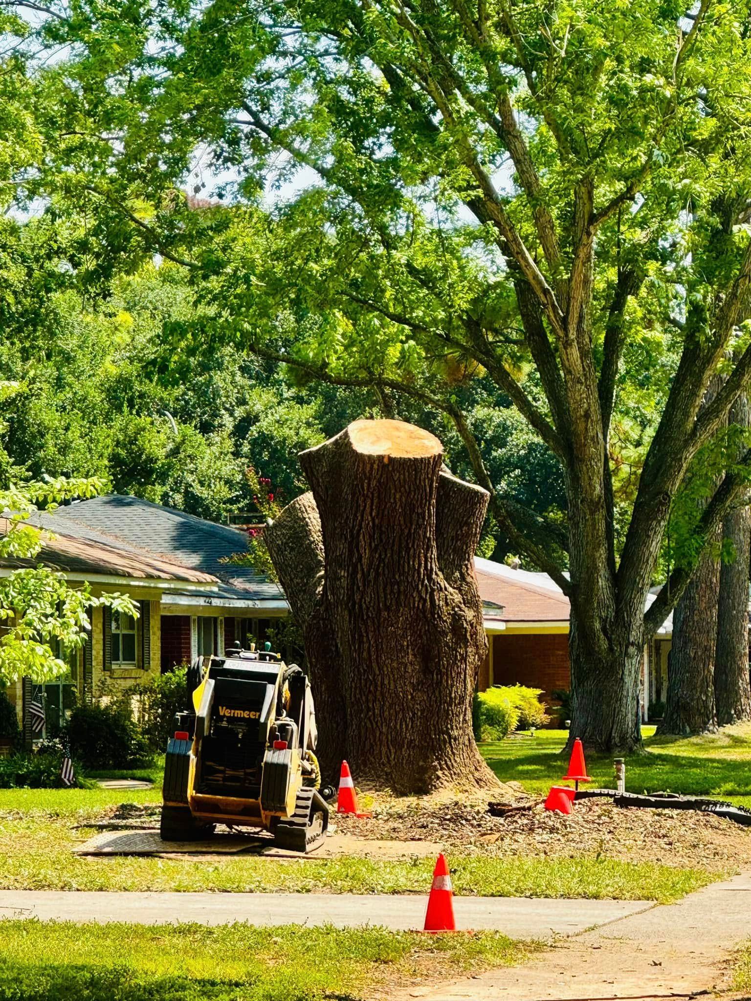 Tree stump with mini excavator and orange cones on a residential street.