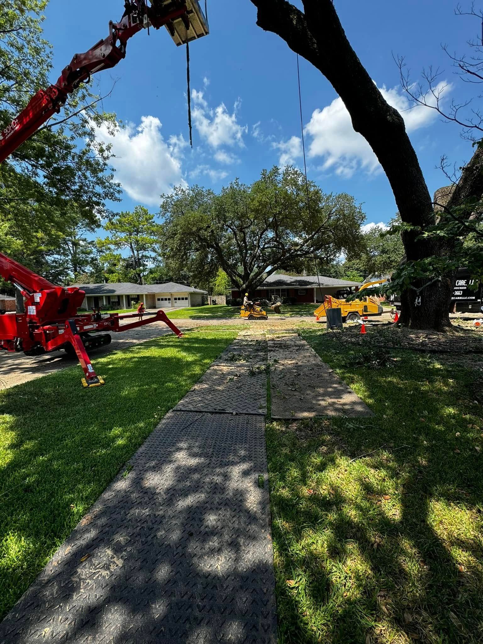 Tree removal in progress; red crane arm, path, green grass, blue sky with clouds.