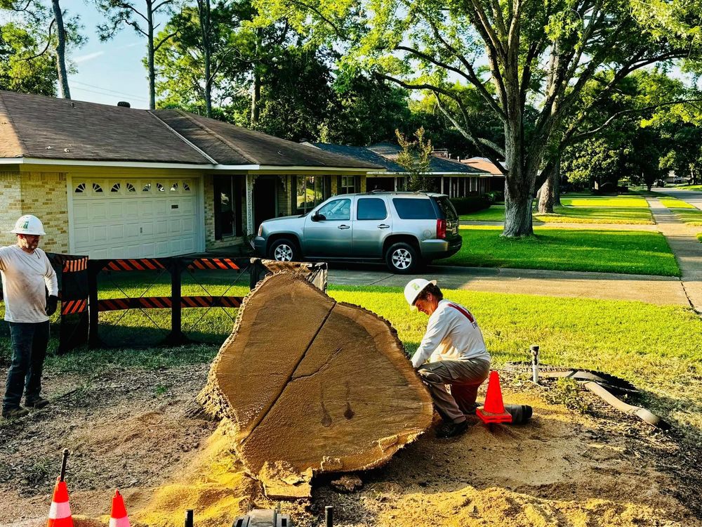 Two people cutting a large tree trunk on a residential lawn, with a car and houses in the background.