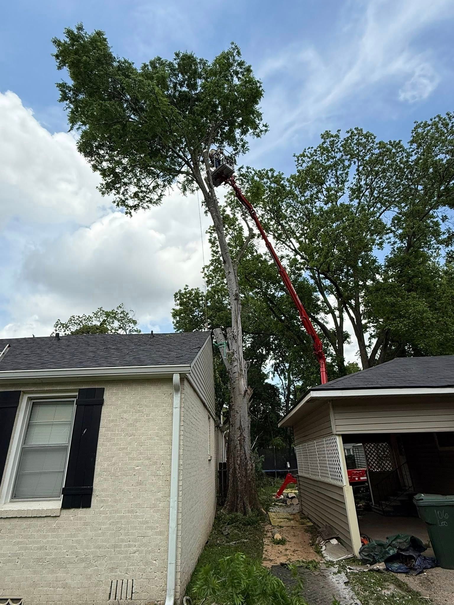 A tree being trimmed next to a house with a person in a cherry picker.