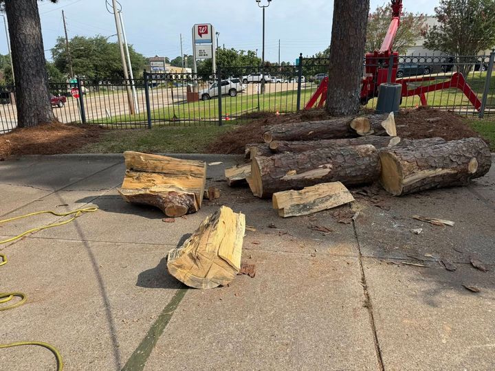 Logs on a sidewalk, near a fence, tree and red wooden structure.