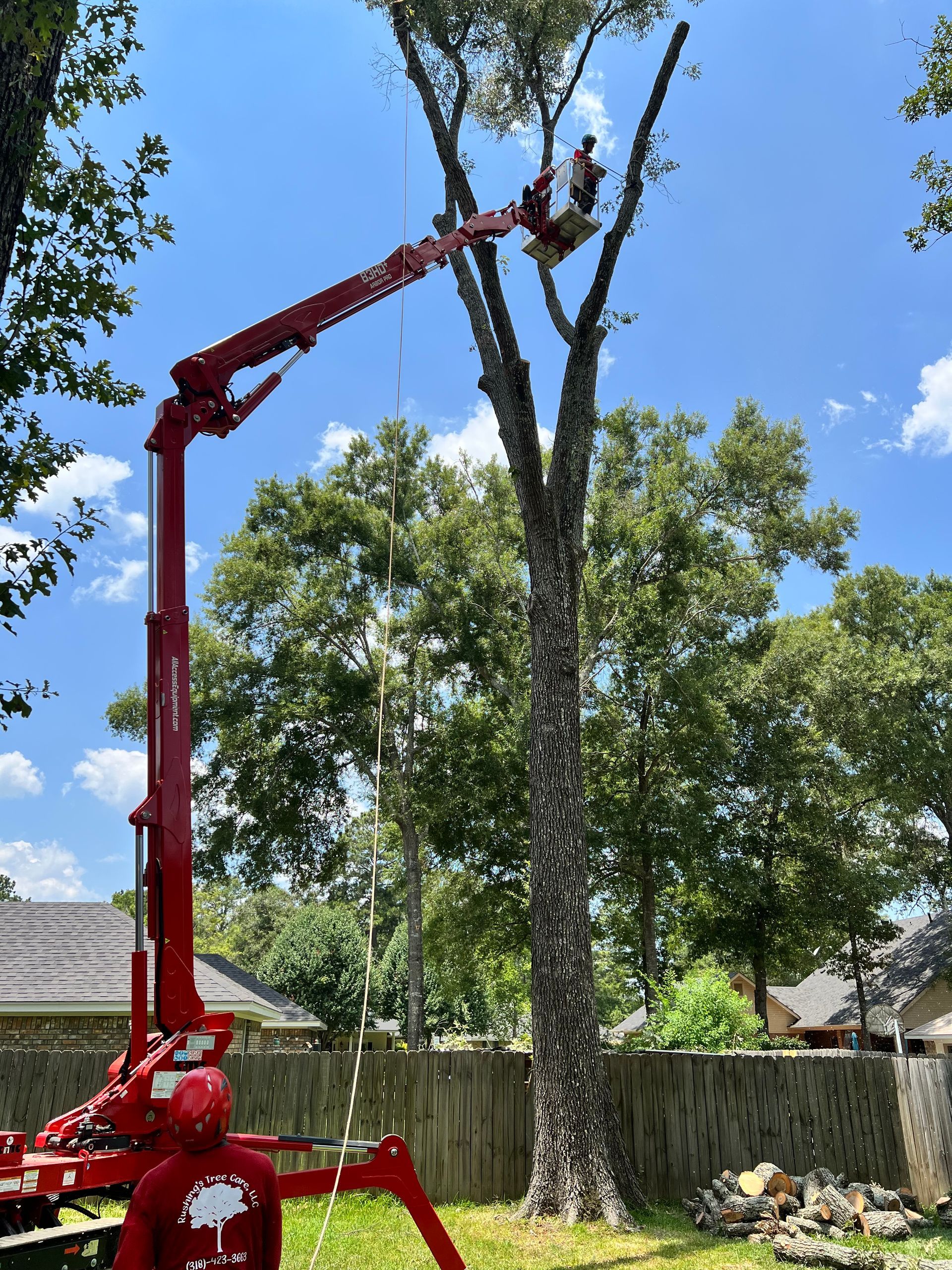 Red lift truck trimming a tall tree; a worker in the bucket is cutting branches on a sunny day.