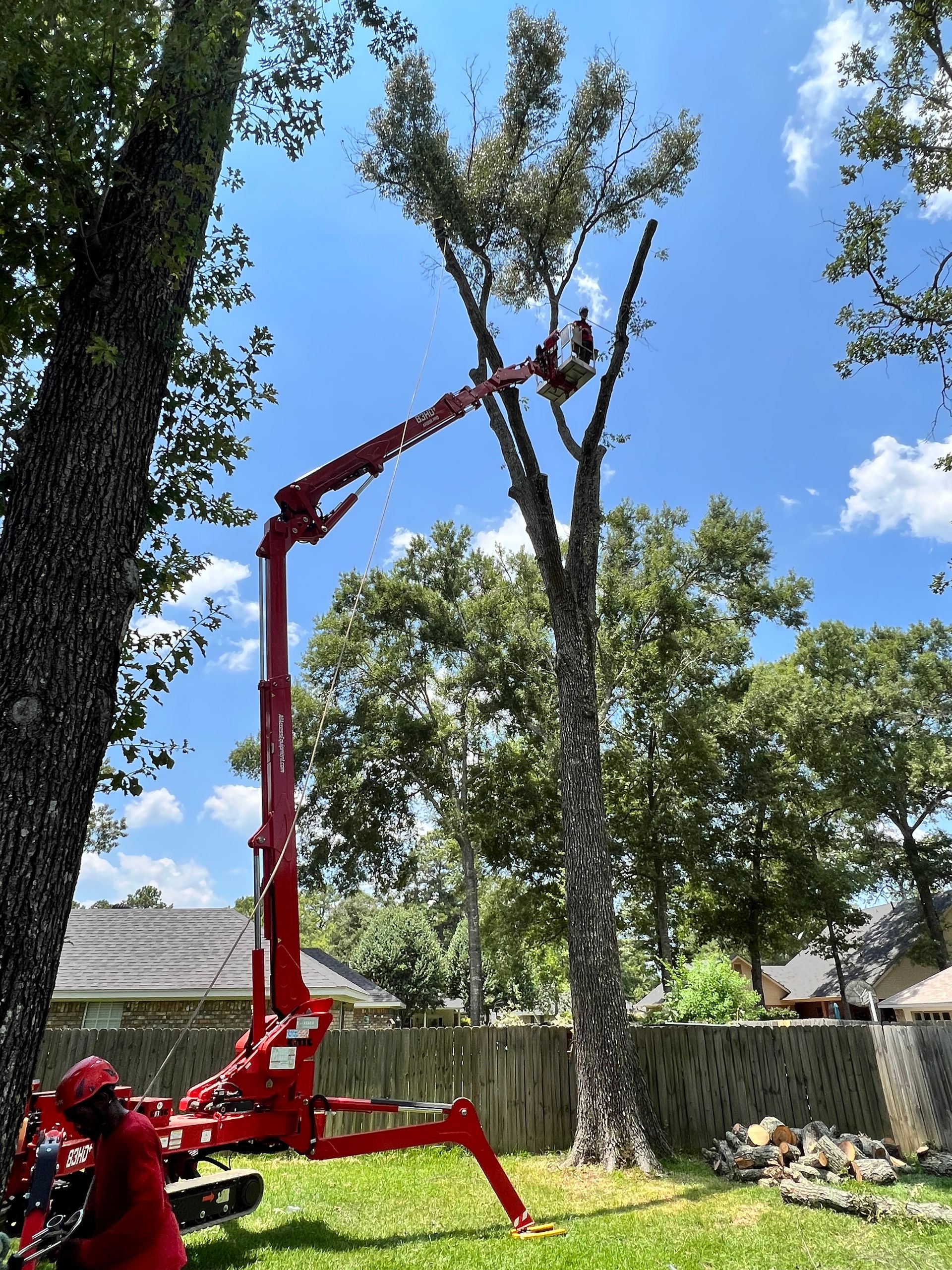 Red lift truck trimming a tree with a worker in the bucket. Bright blue sky with clouds in background.
