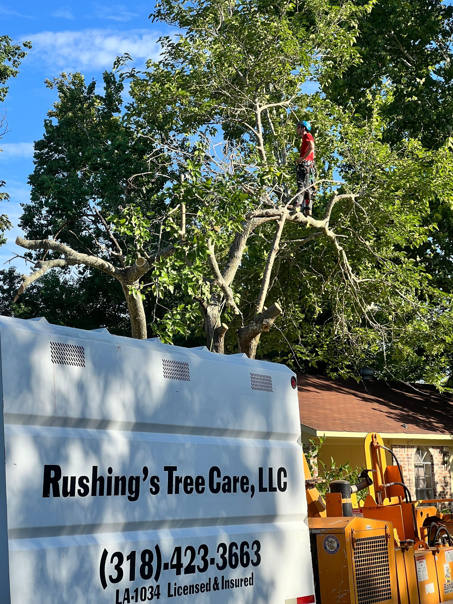 Arborist trimming tree branches. White truck with Rushing's Tree Care logo. Bright, sunny day.