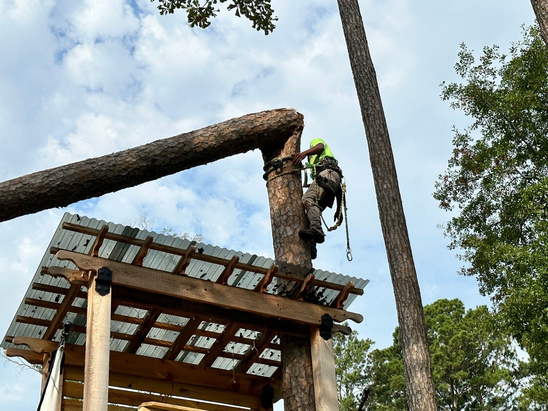 Person in safety gear cutting a tree branch above a wooden structure. Sky and trees in background.