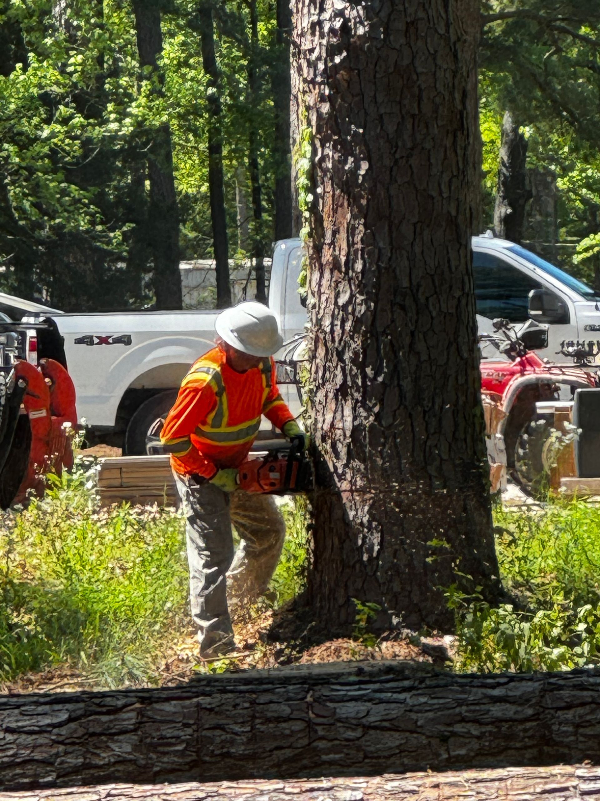 Person in safety gear using a chainsaw to cut a tree trunk; a white truck is visible in the background.