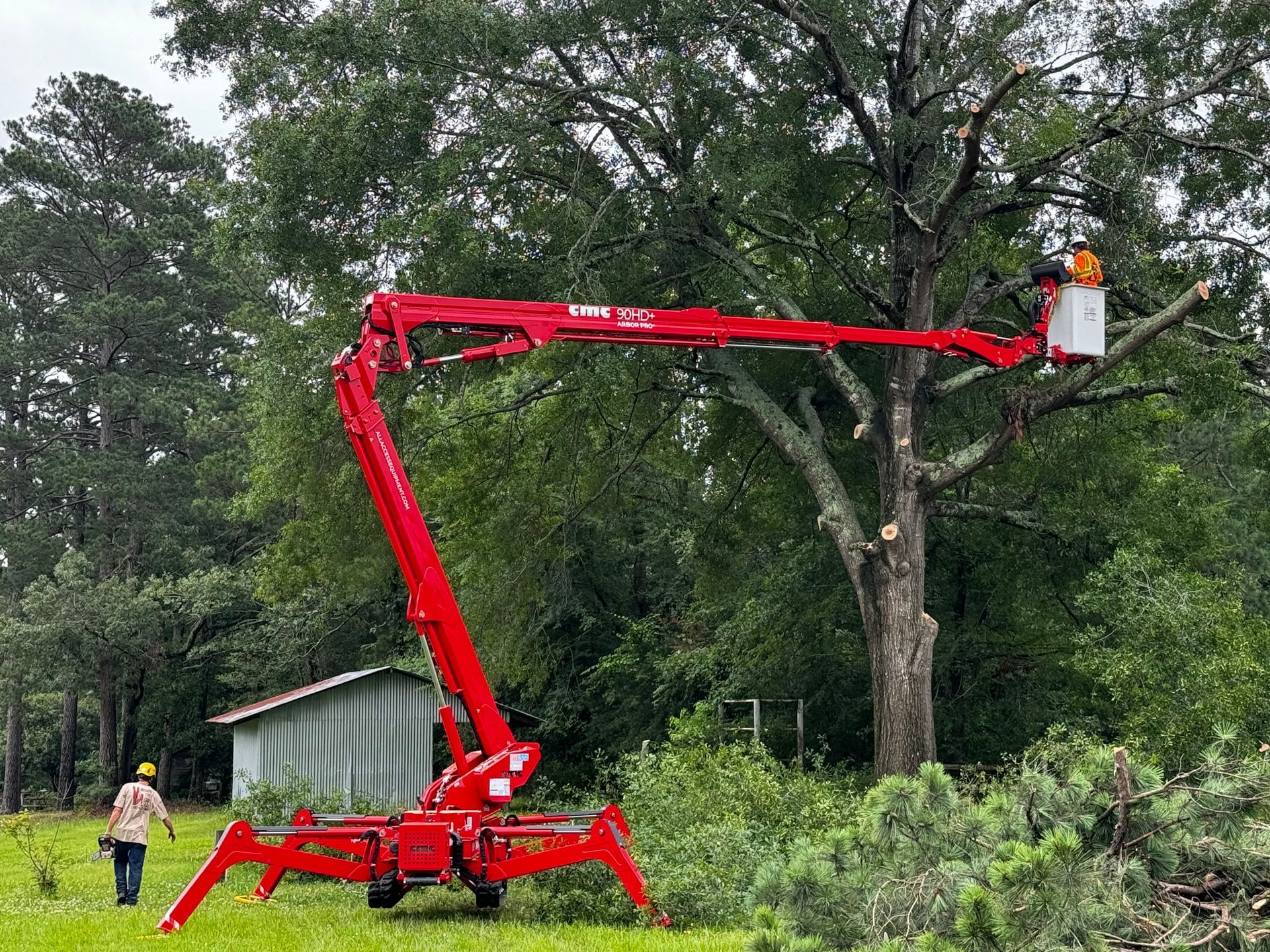 Red tree-trimming lift cutting tree branches. Person in bucket; another worker on the ground. Green grass and trees; blue shed.