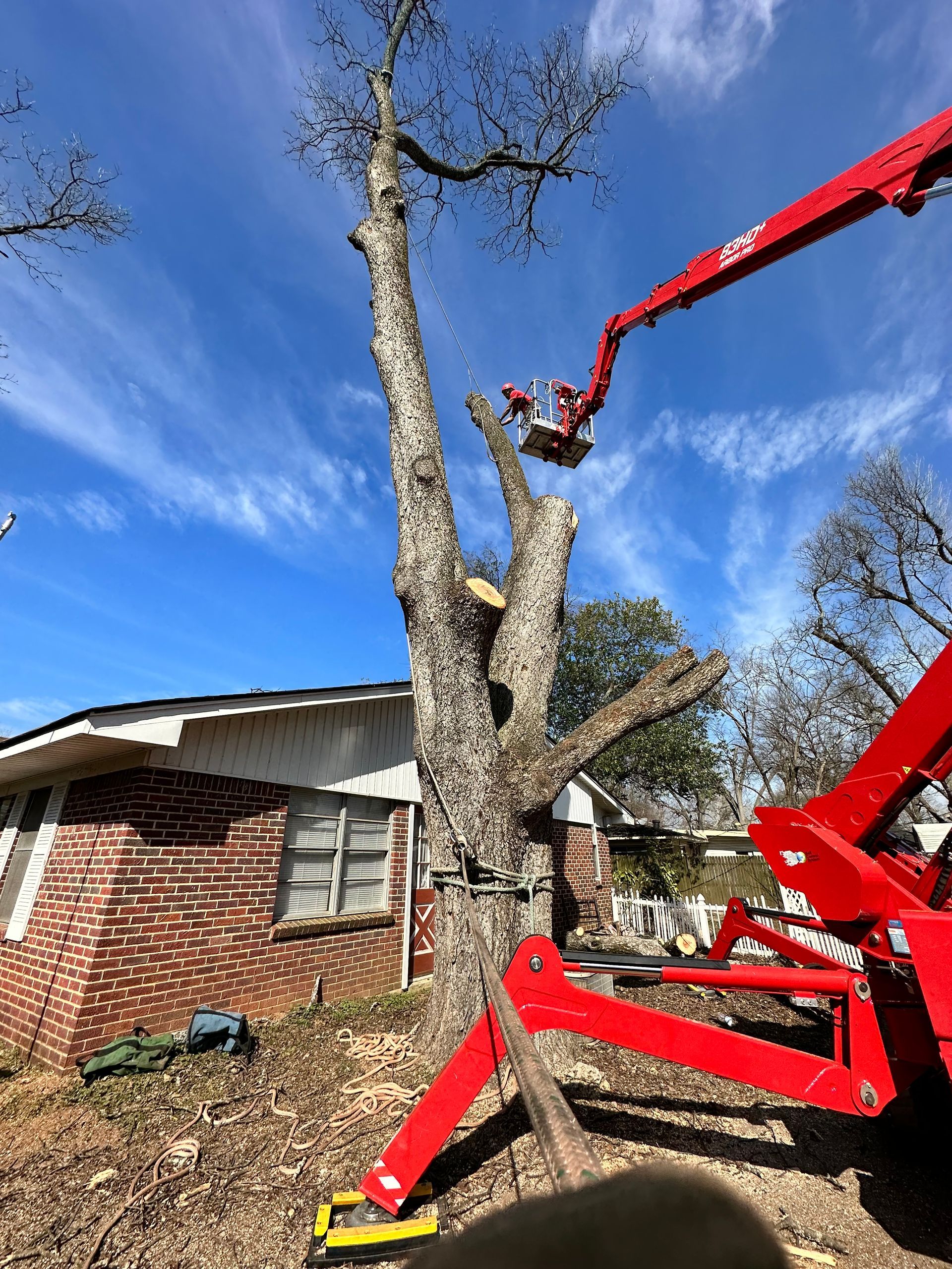 Tree trimming by lift near a brick house under a blue sky.