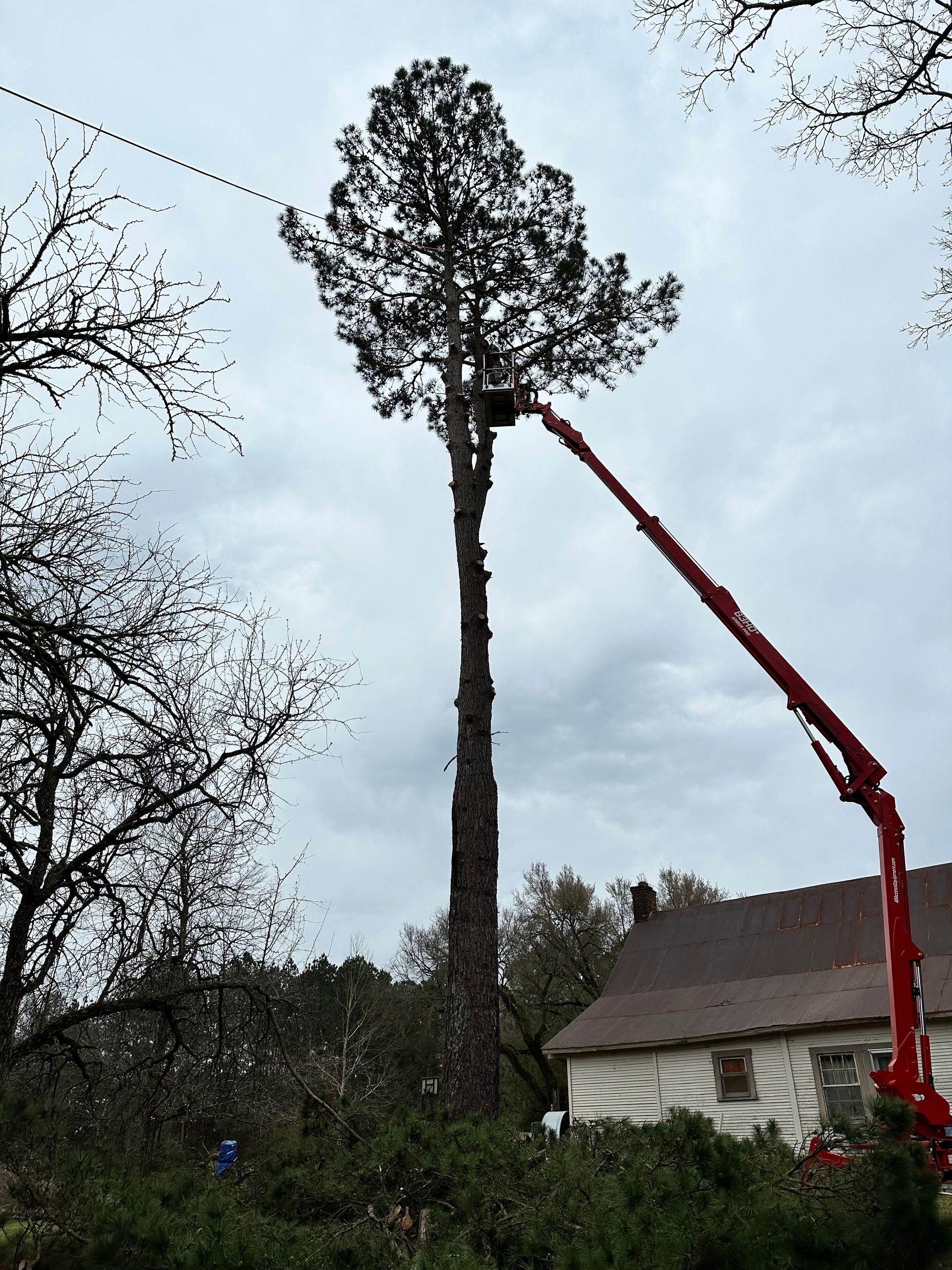 Tall tree being trimmed by an aerial lift; house and overcast sky in background.