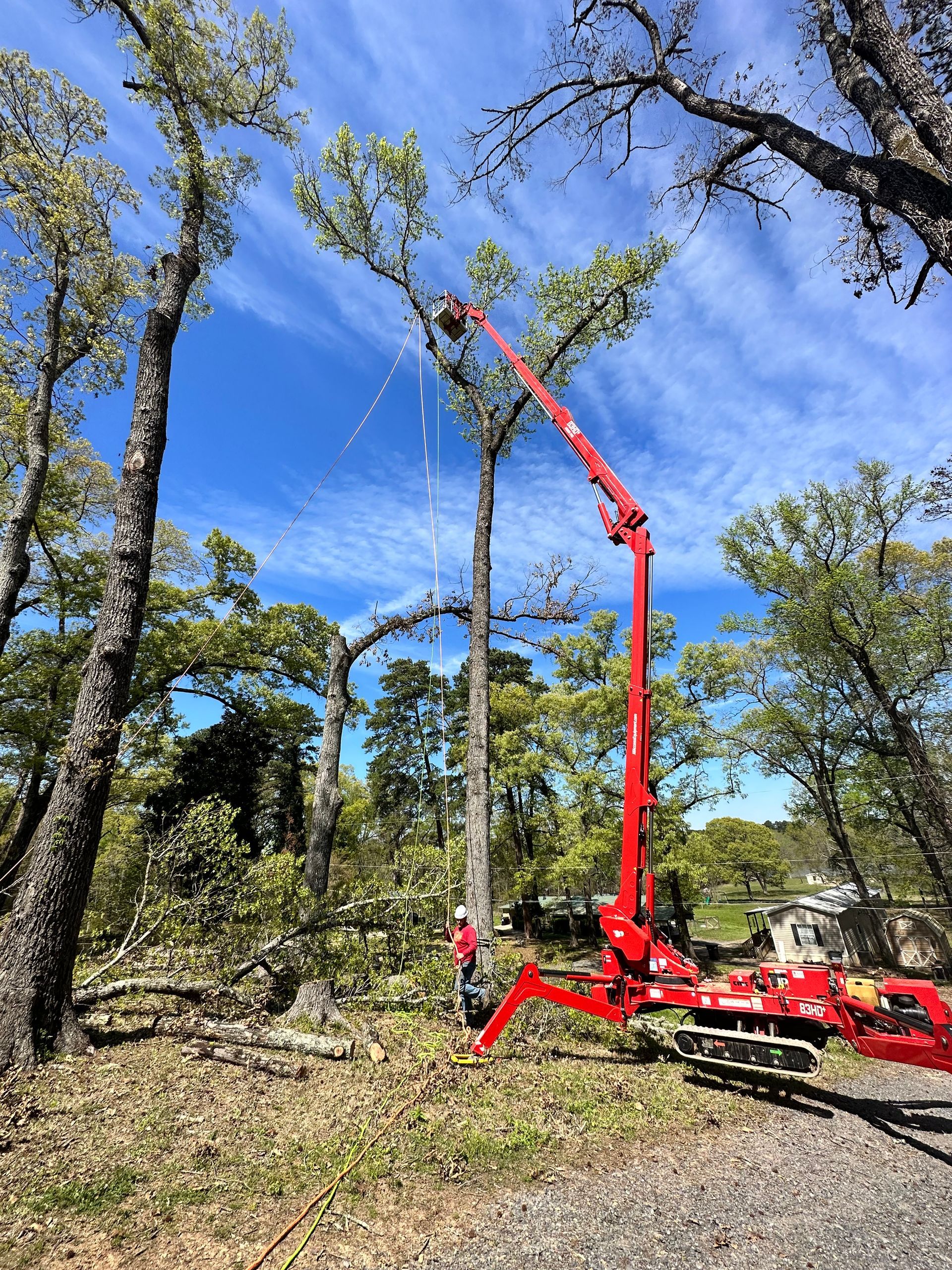 A red tree-trimming machine cuts a tree limb. A worker stands below. Outdoors, sunny sky.