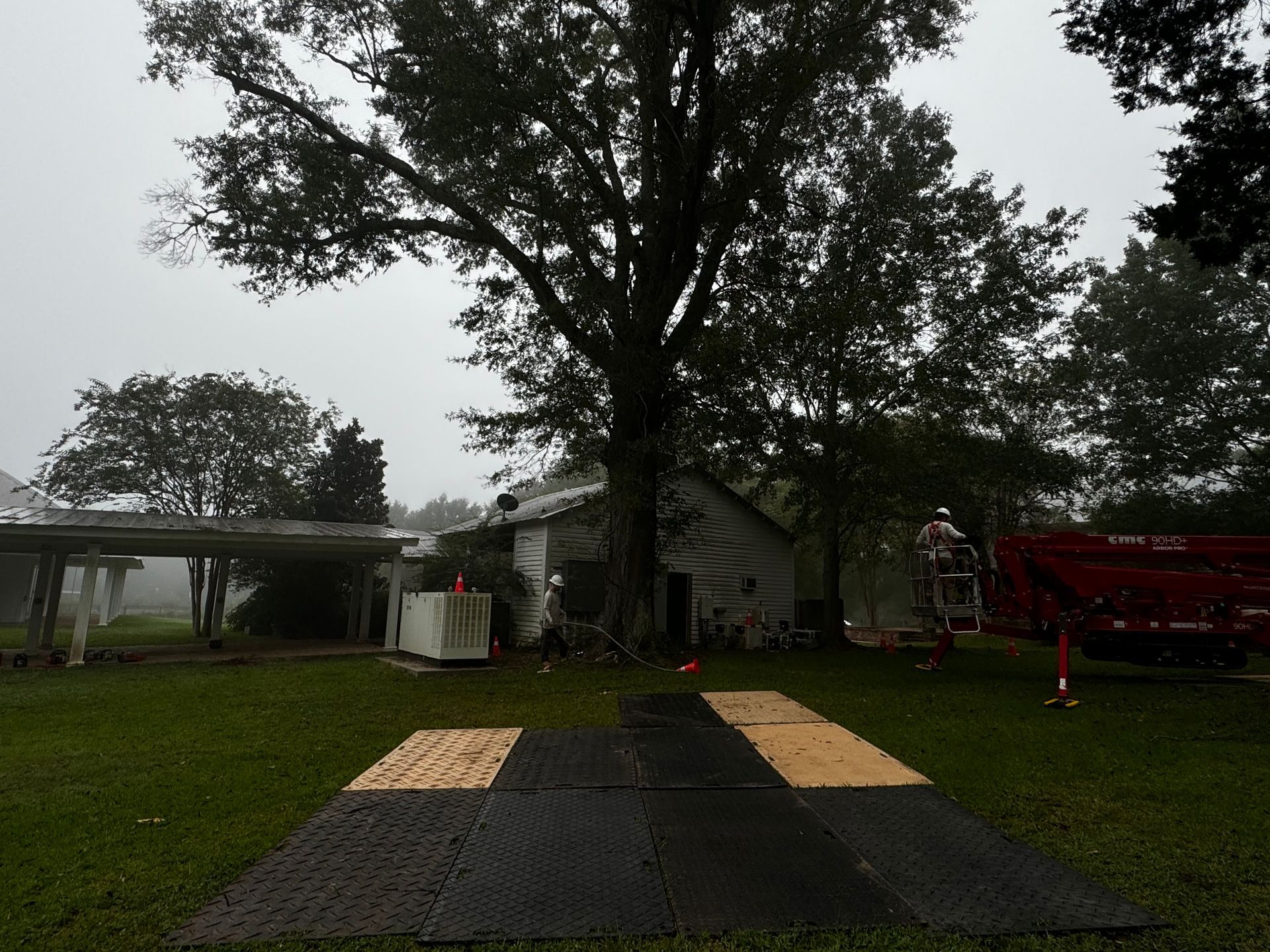 A cloudy day in a yard with a house, tree, and mats laid on the ground.
