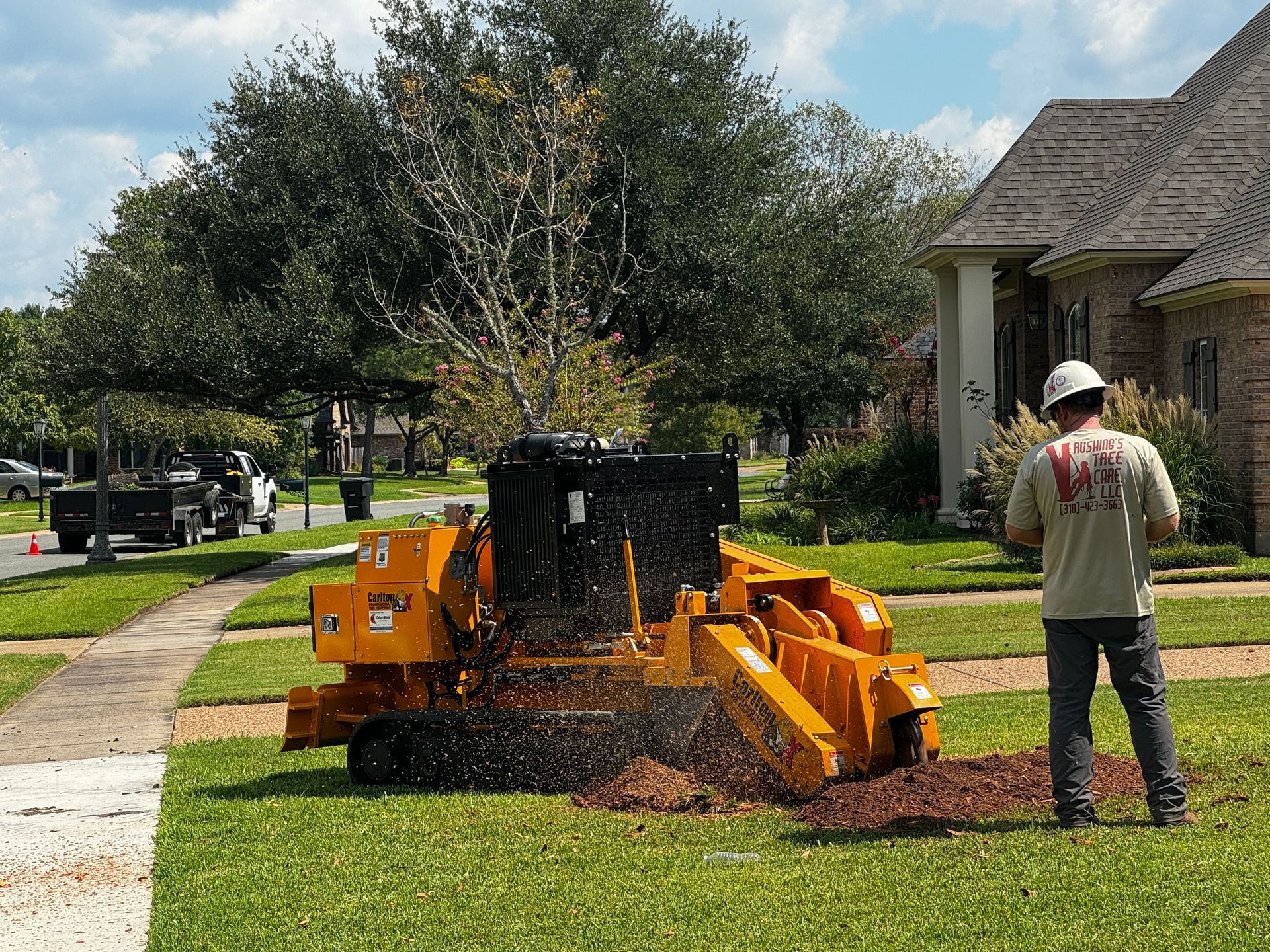 Tree stump grinder in use on residential lawn; worker in hard hat.
