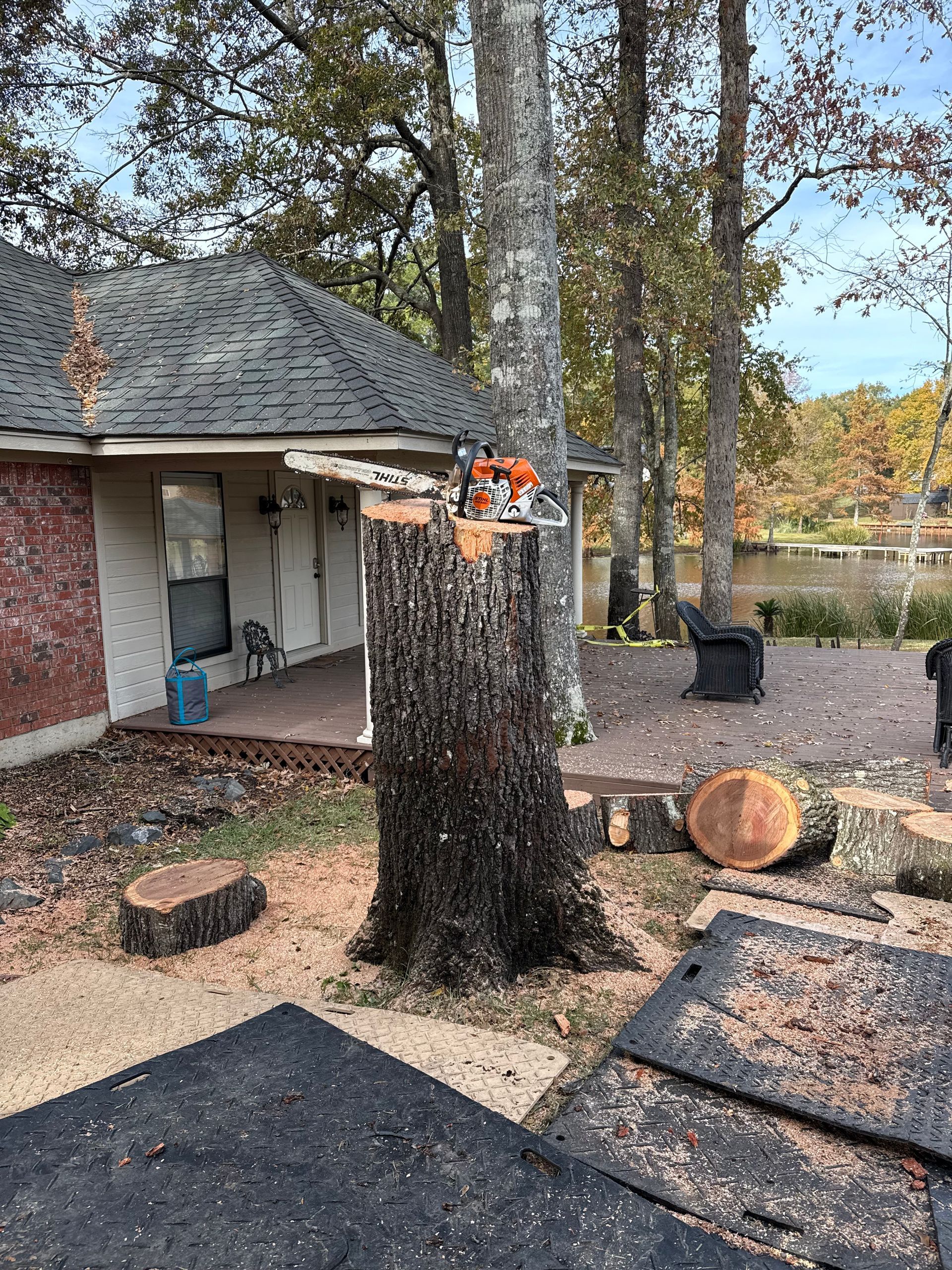 A chainsaw cuts a tree trunk near a house. Cut logs and wood chips are on the ground.