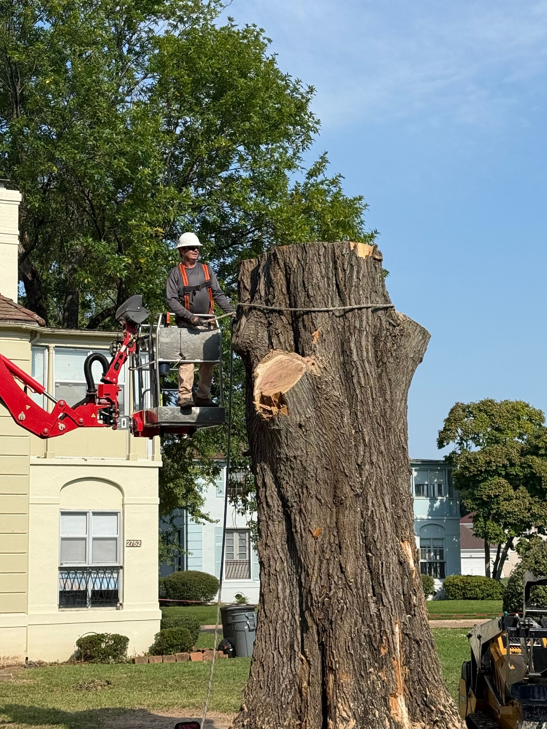 Tree service worker in a lift trimming a large tree stump near a light-colored building.