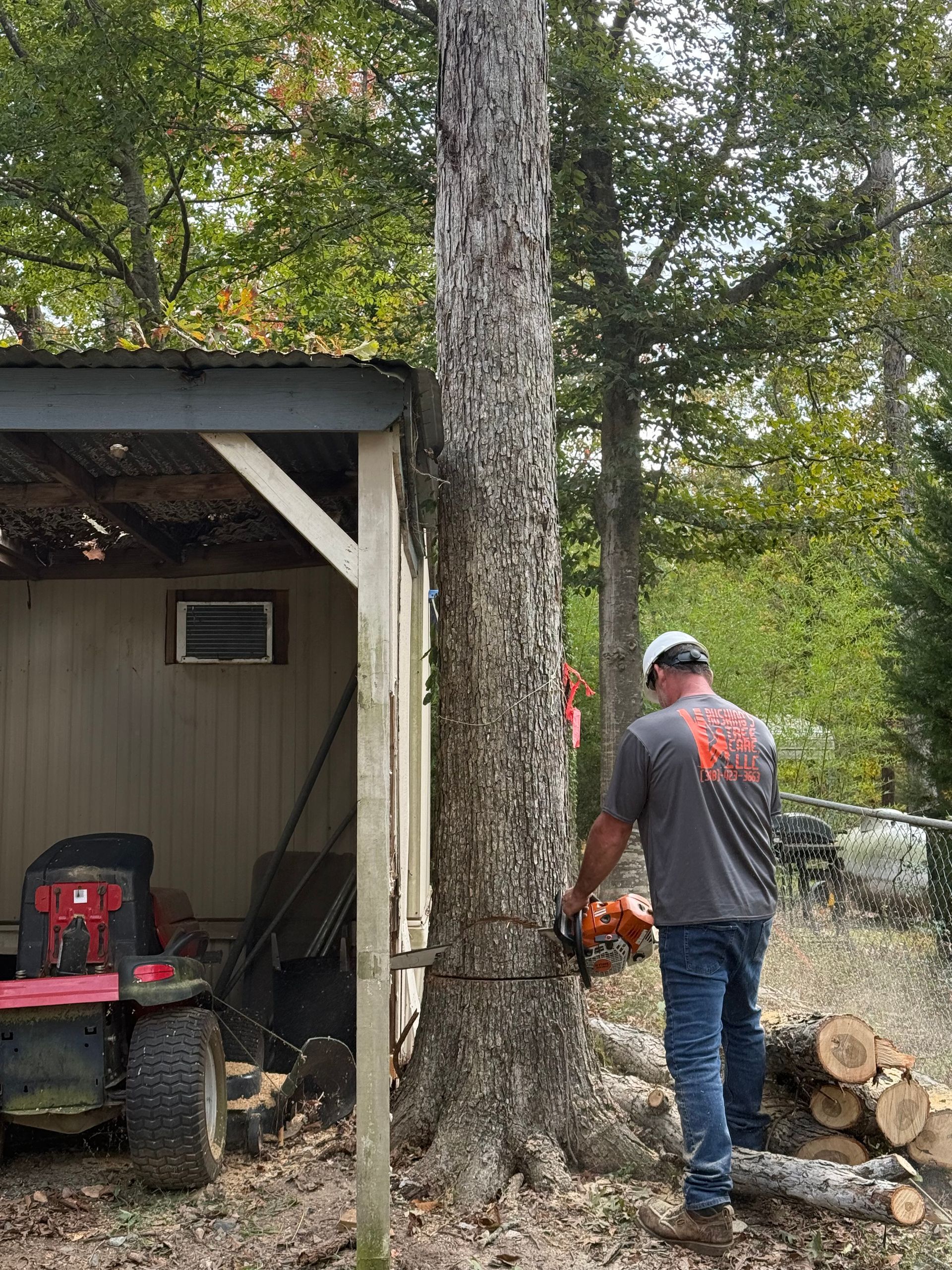 Man cutting down a tree with a chainsaw next to a shed. A red riding lawnmower is nearby.