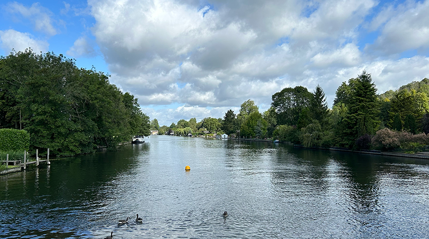 The river at Henley surrounded by trees on a sunny day.