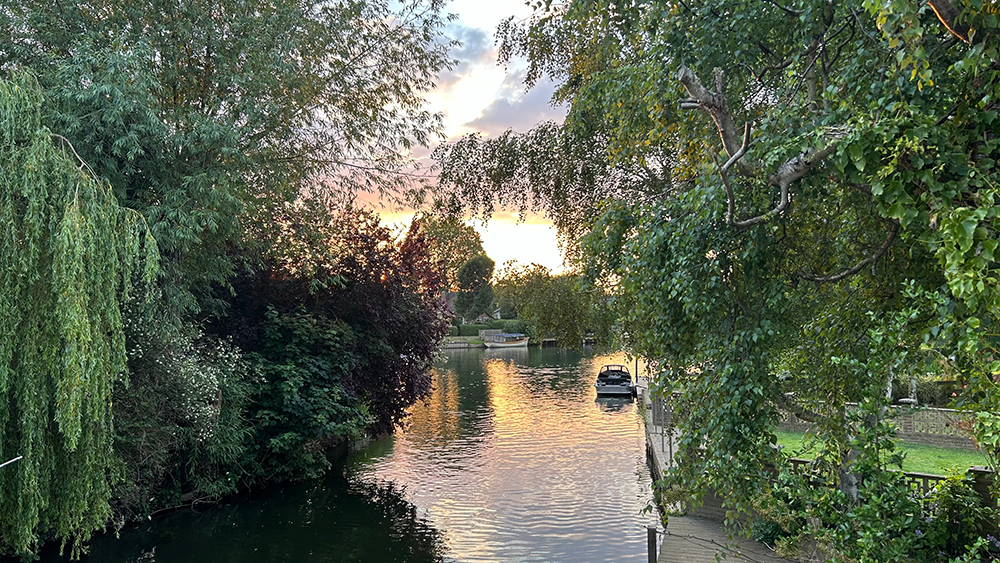 A river surrounded by trees and a sunset in the background.