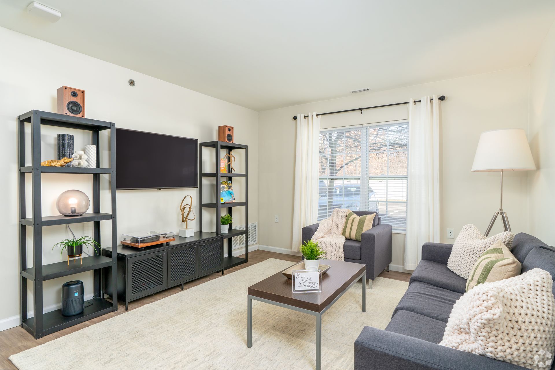 Living room with dark gray sofa, rug, and black entertainment center with TV and shelves.