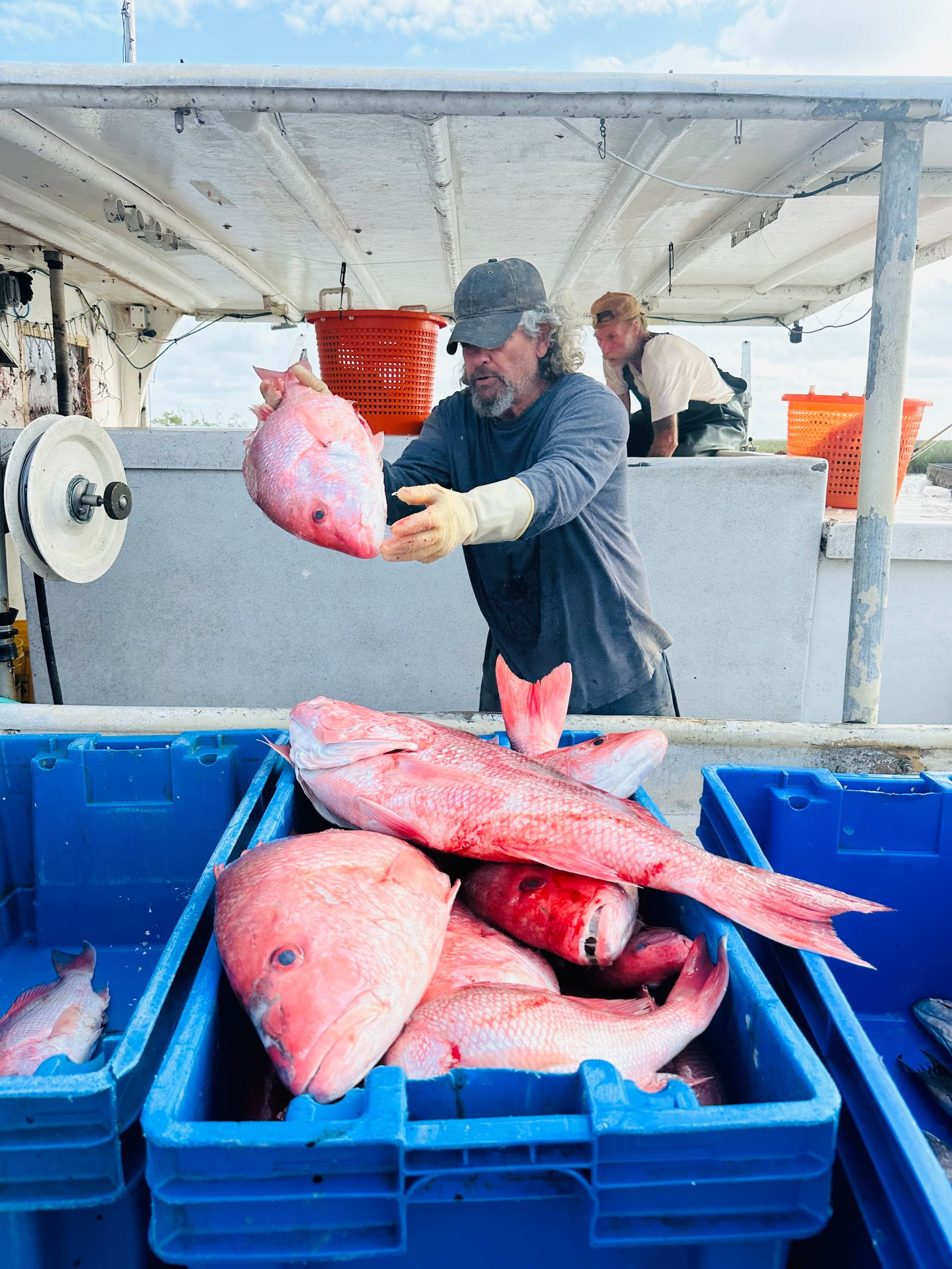 snapper sandwich near me