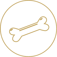 Dog bone icon