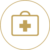 veterinary medical case icon