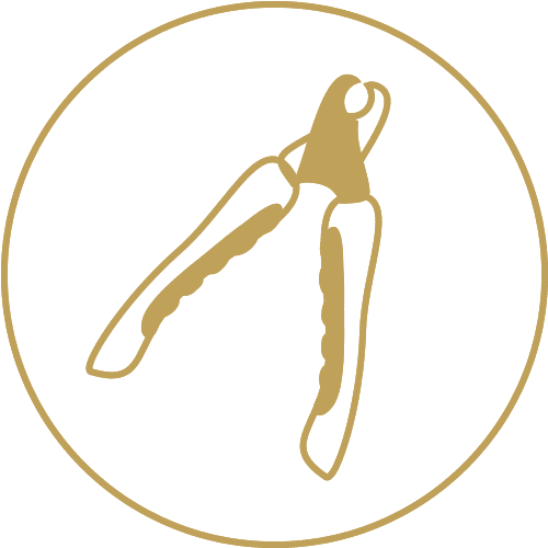 dog nail clipper icon