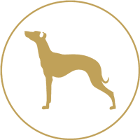 dog shiluette icon