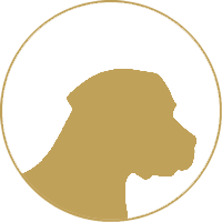 dog facials icon