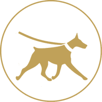 Dog bone icon