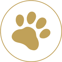 paw print icon