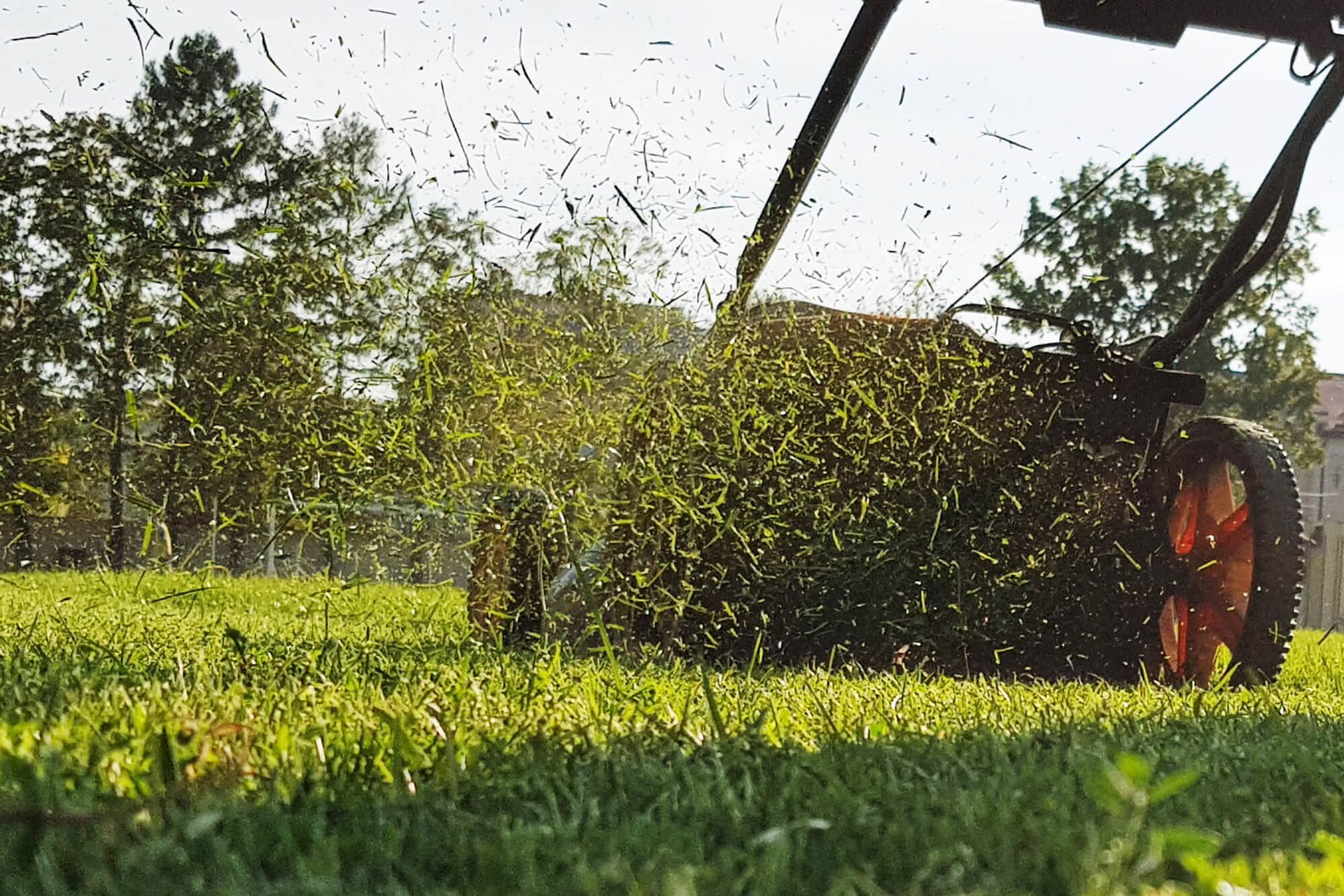 Lawn Mowing Services in Renton, Washington
