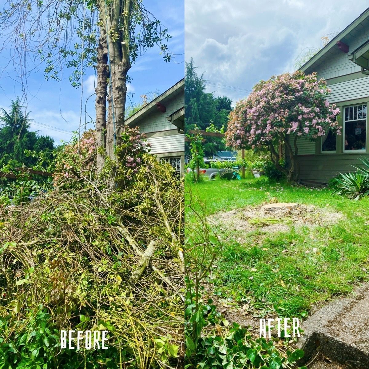 Landscaping Services in Renton, Washington