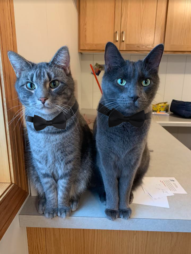 Peterson Funeral Home Indianola Staff