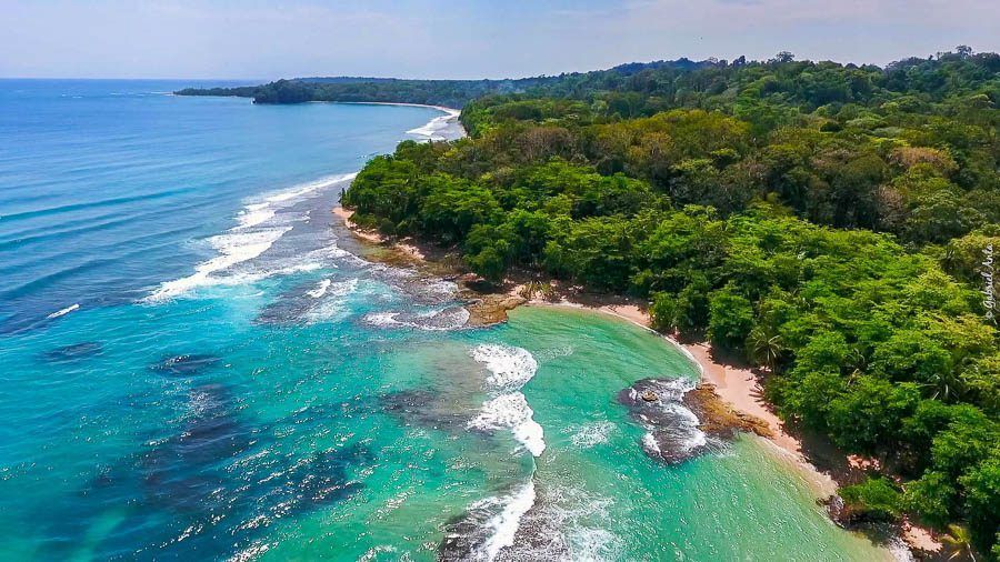Azure ocean waves crash on a tropical beach lined with lush green trees.