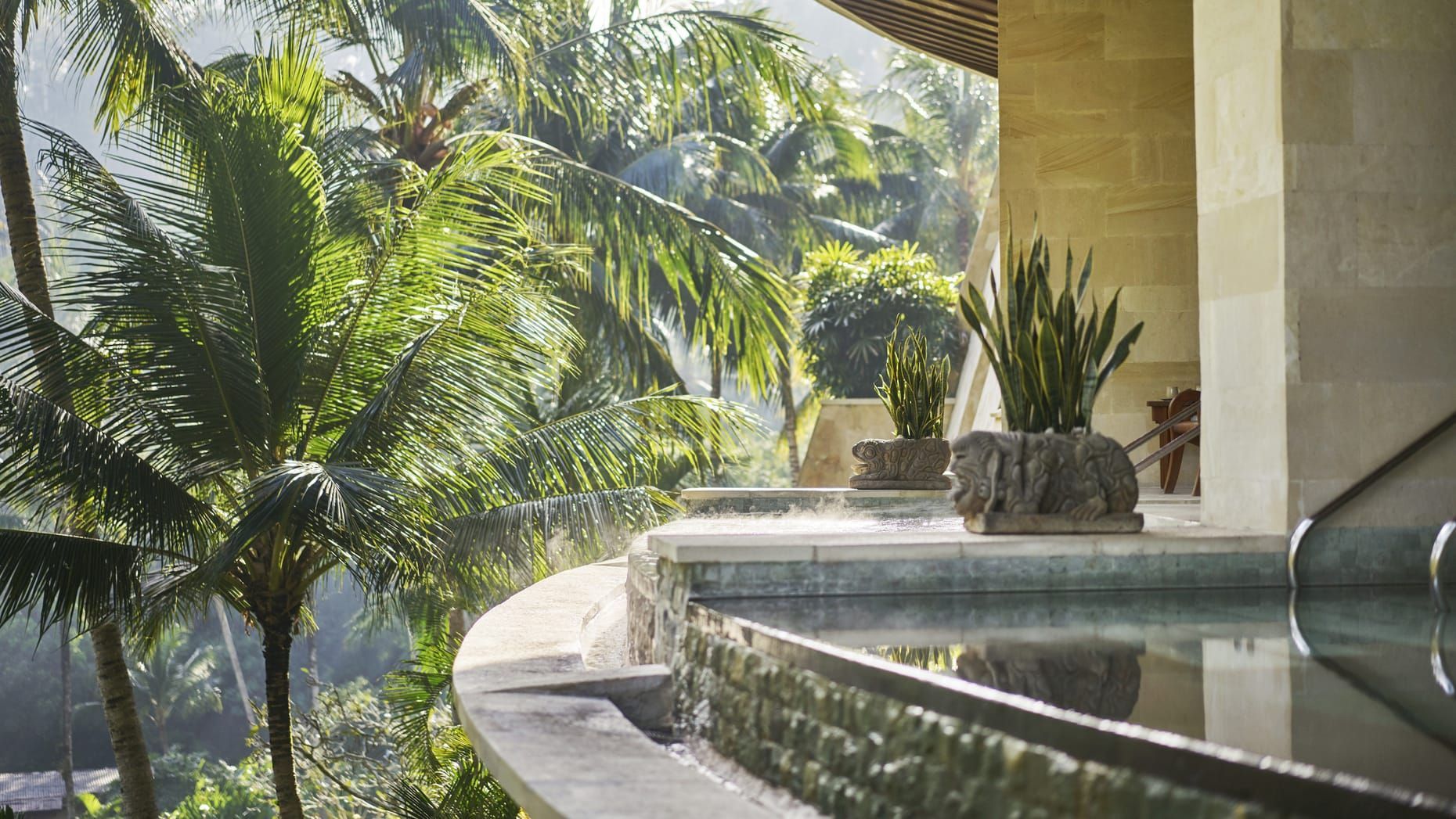 Pool overlooking lush tropical foliage.