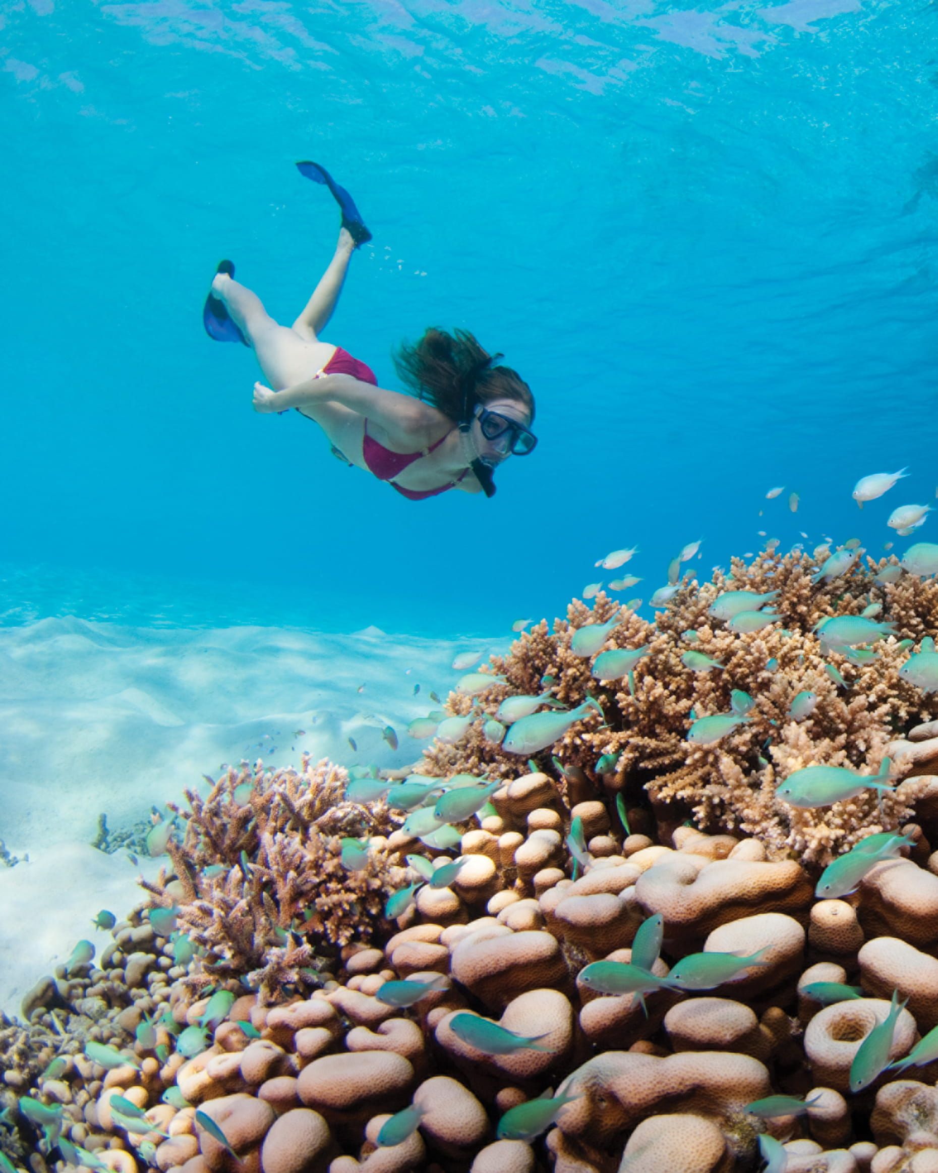 Woman snorkeling over a coral reef with many fish in clear blue water.