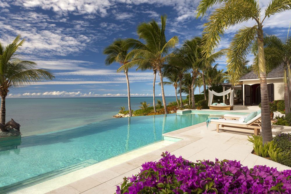 An infinity pool overlooking the ocean, surrounded by palm trees, a lounge area, and vibrant purple flowers.