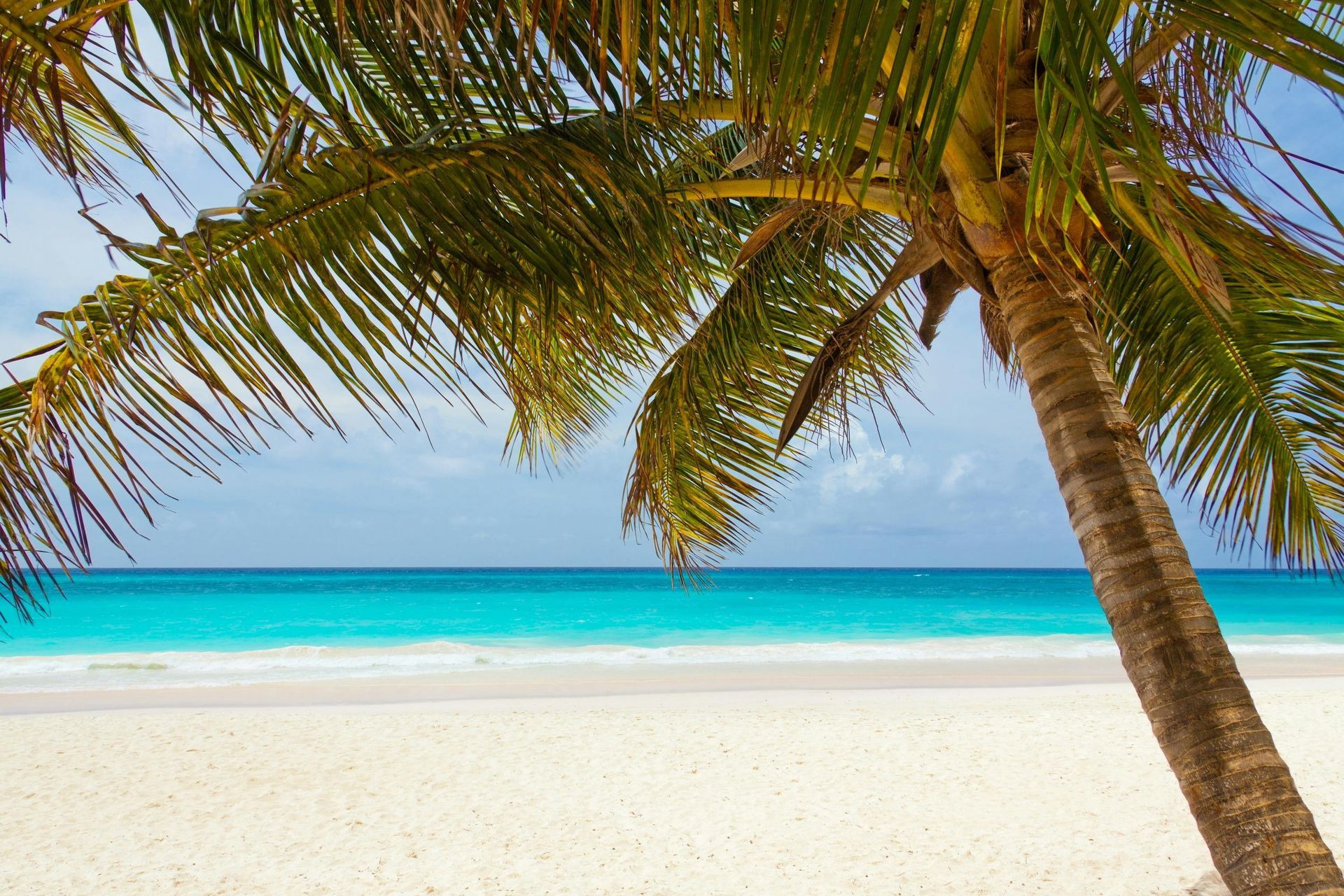 Tropical beach with white sand, turquoise water, and palm trees in the foreground