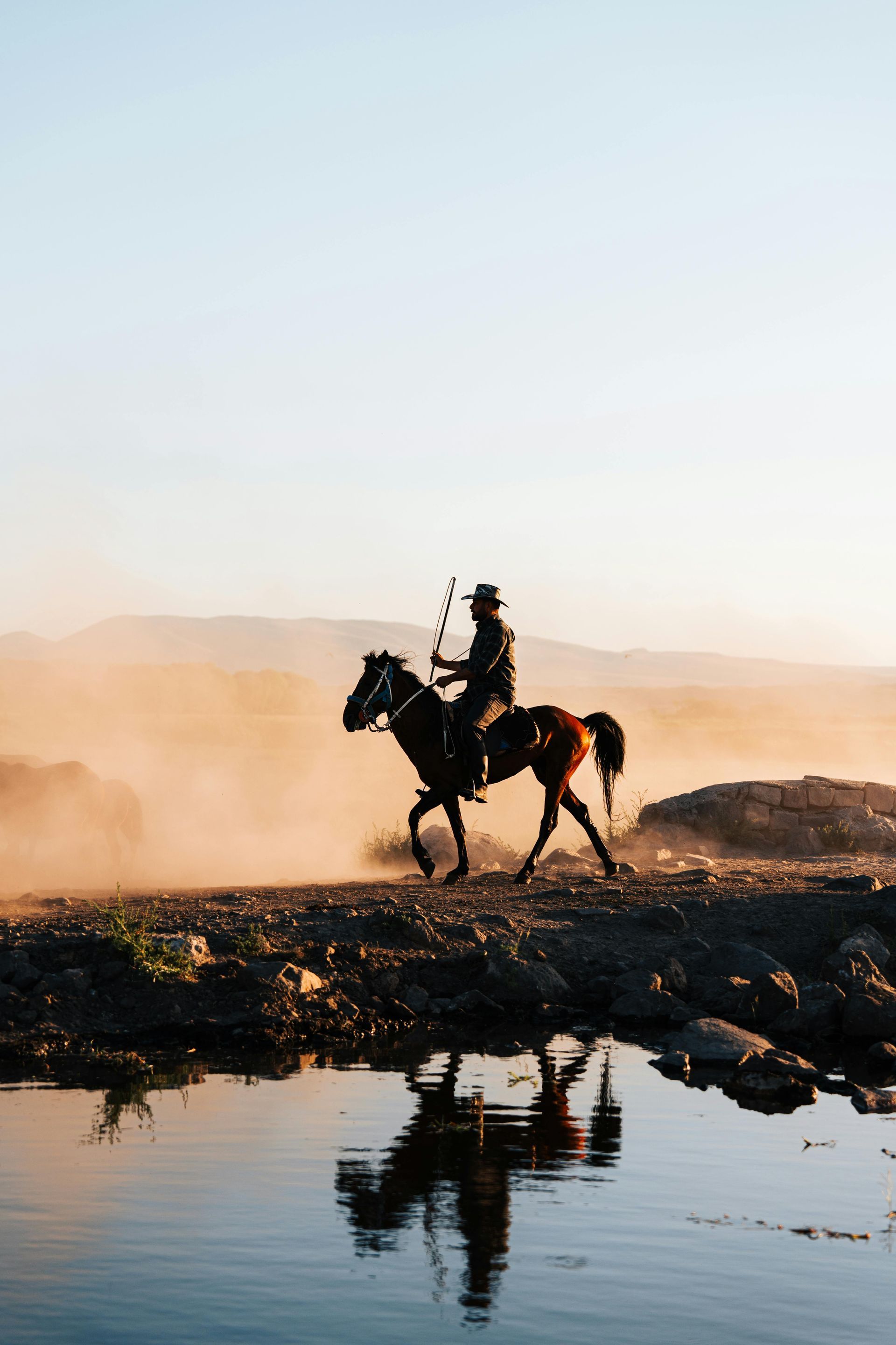 Silhouette of a horse and rider on a dusty path near a body of water, mountains in the background. Outback