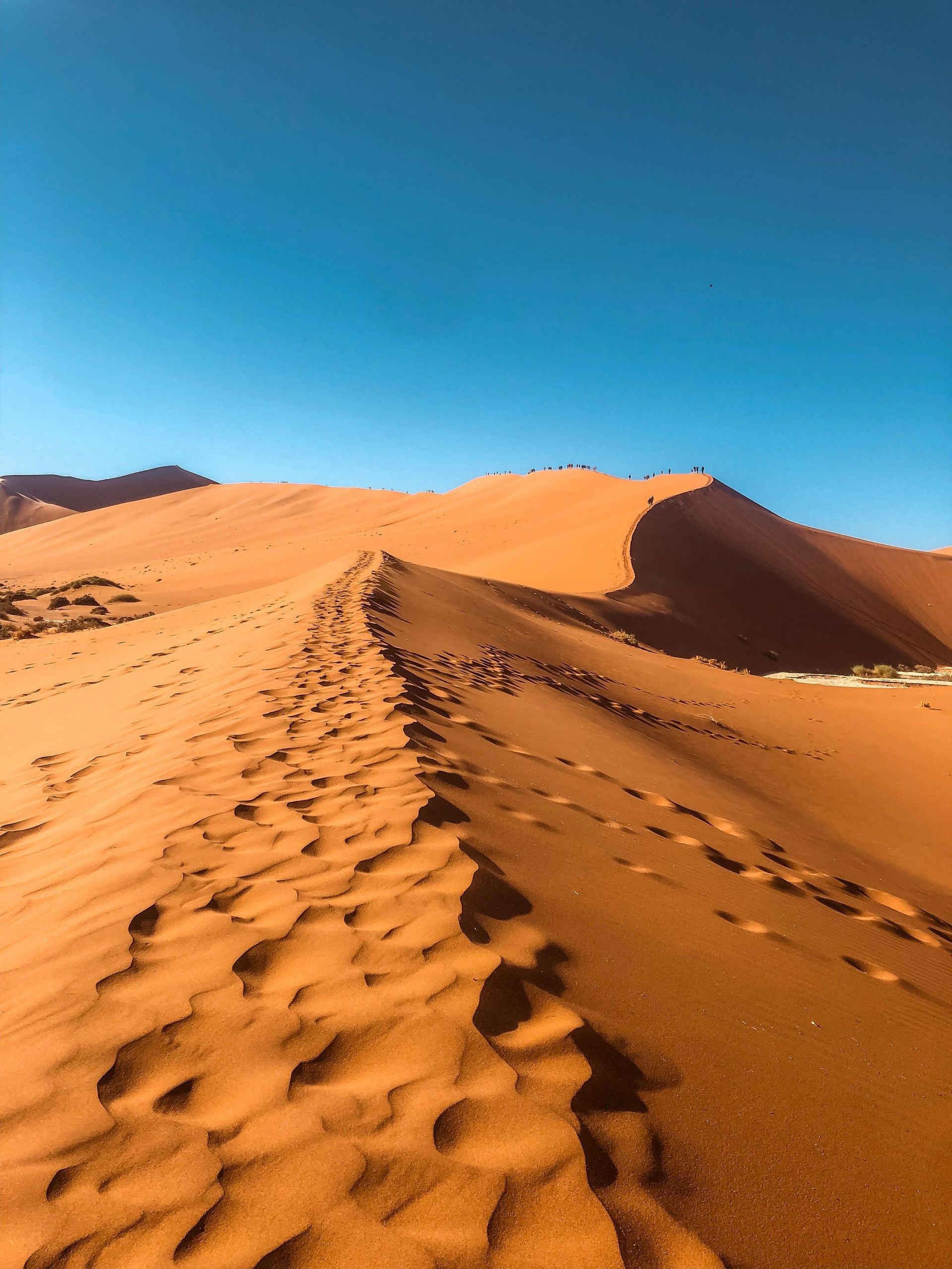 Footprints on a sand dune under a clear blue sky in a desert landscape. Namibia